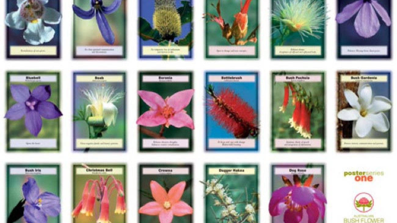 RIMEDI FLOREALI I FIORI AUSTRALIANI 2
